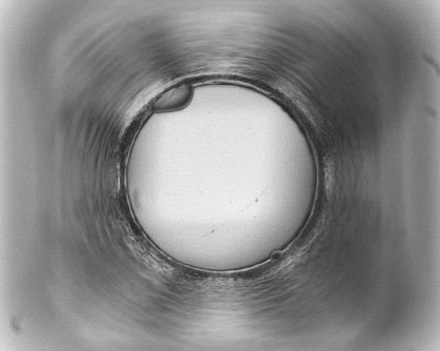 X0000101441069200807281017