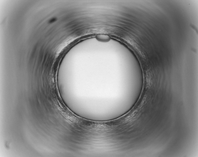 X0000101441070200807281017