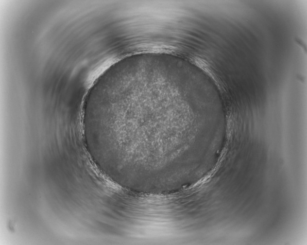 X0000101441071200807281017