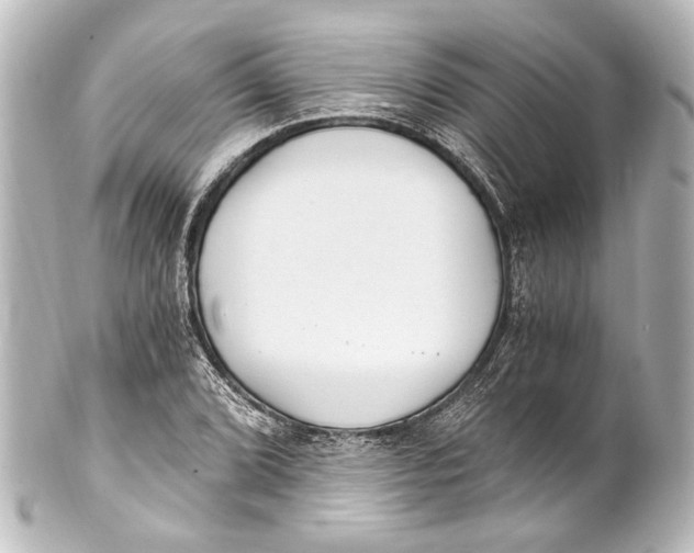 X0000101441072200807281017