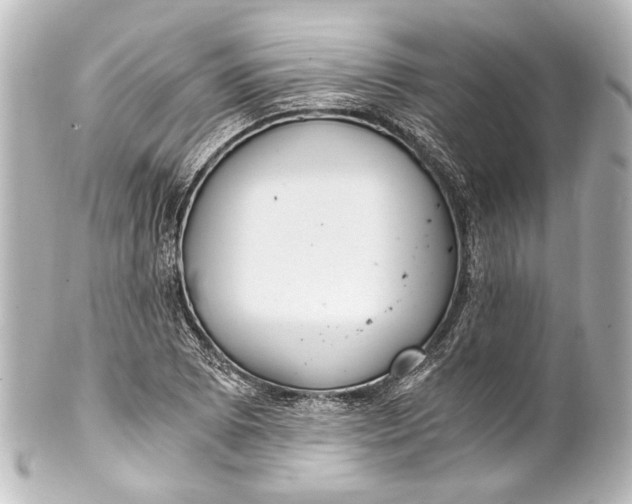 X0000101441073200807281017