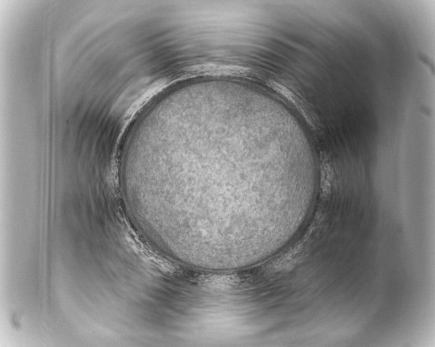 X0000101441074200807281017