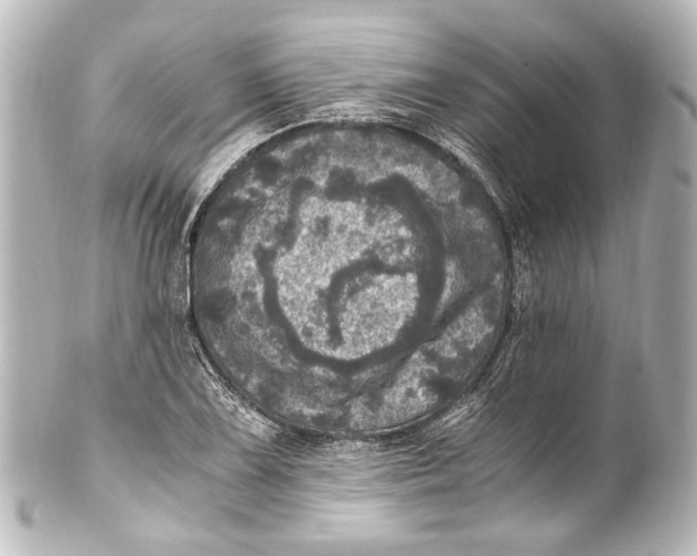 X0000101441075200807281017