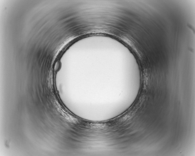 X0000101441076200807281017