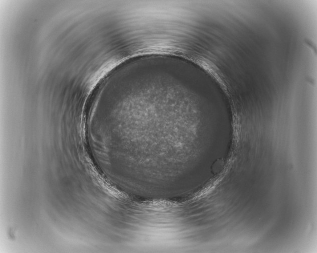 X0000101441077200807281017