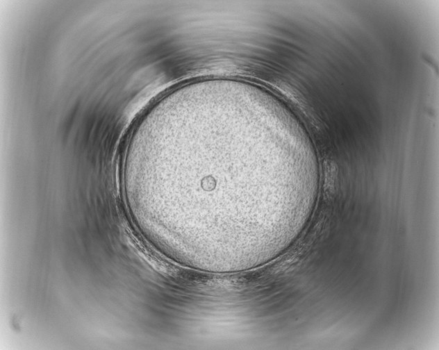 X0000101441078200807281017