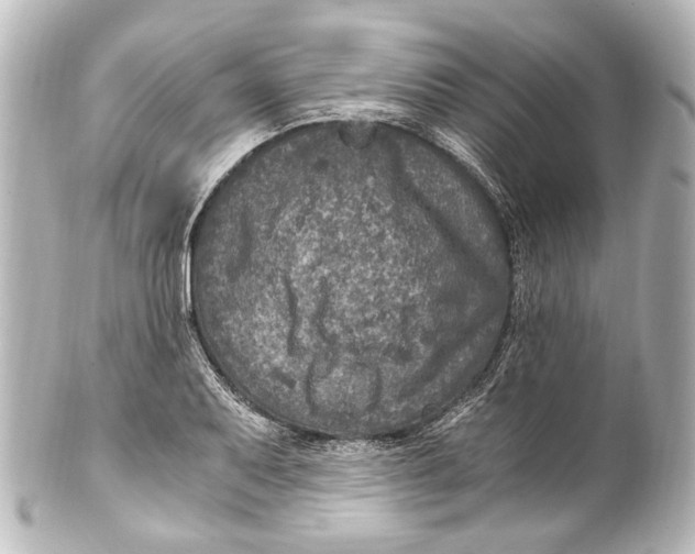 X0000101441079200807281017