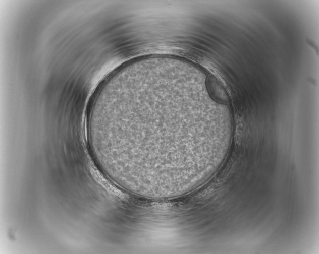 X0000101441080200807281017