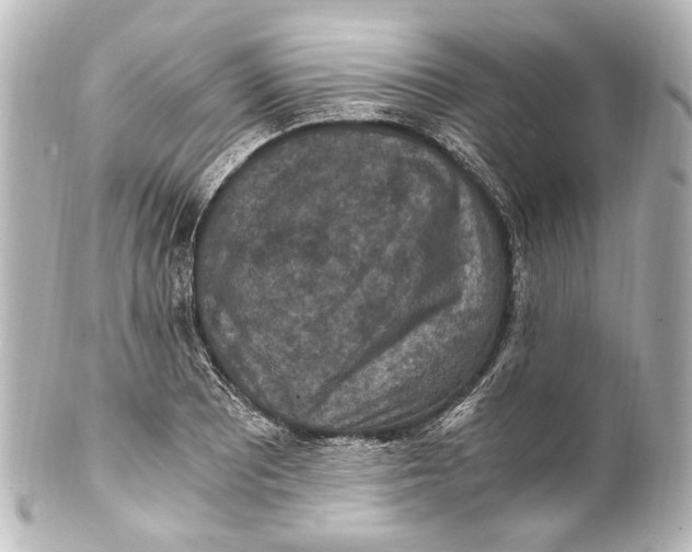 X0000101441081200807281017