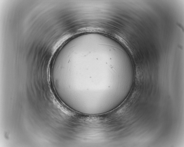 X0000101441082200807281017