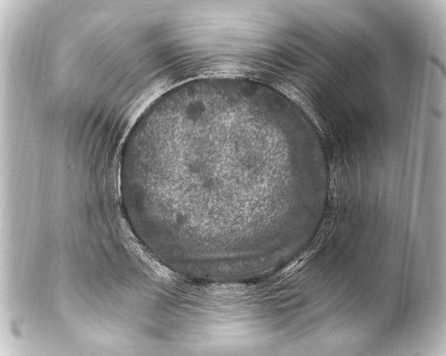 X0000101441083200807281017