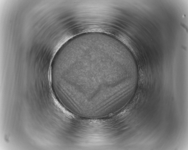 X0000101441084200807281017