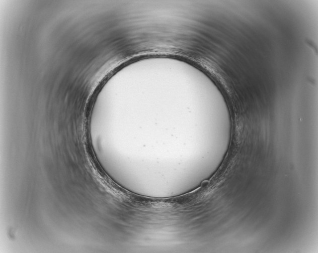 X0000101441085200807281017