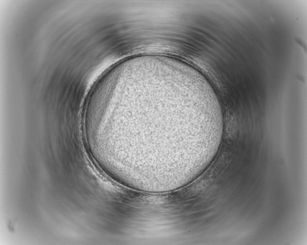 X0000101441086200807281017