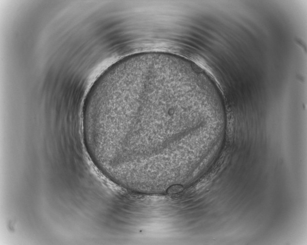 X0000101441088200807281017