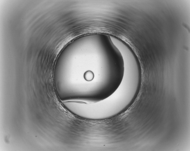 X0000101441089200807281017