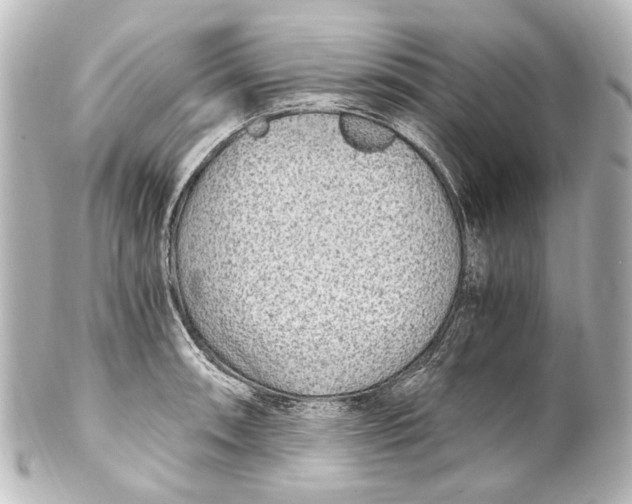 X0000101441090200807281017