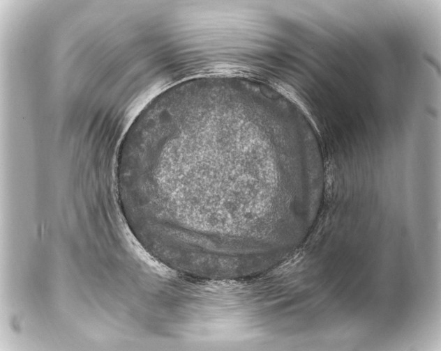 X0000101441091200807281017