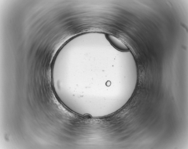 X0000101441092200807281017