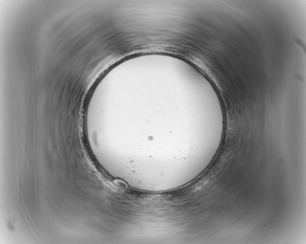 X0000101441093200807281017