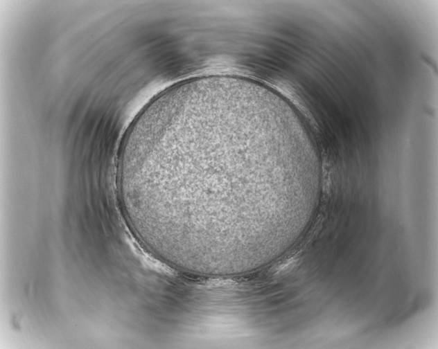 X0000101441094200807281017