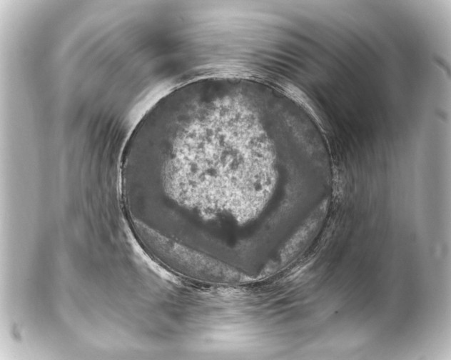 X0000101441095200807281017