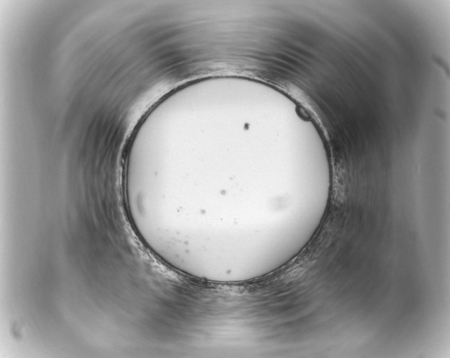 X0000101441096200807281017