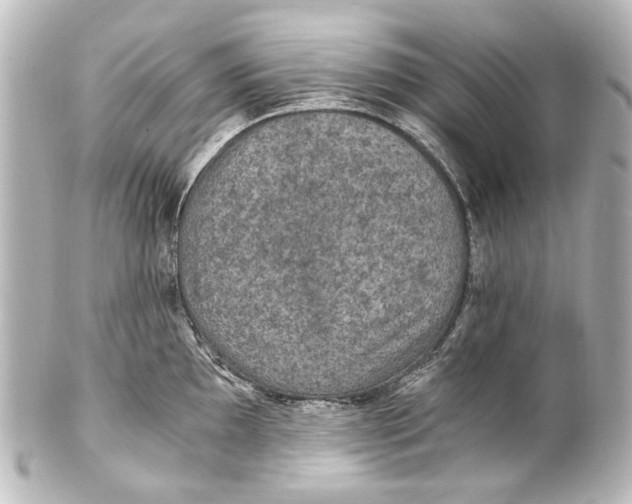 X0000101441097200807281017