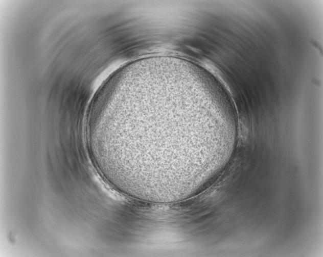 X0000101441098200807281017