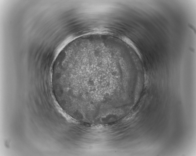 X0000101441099200807281017