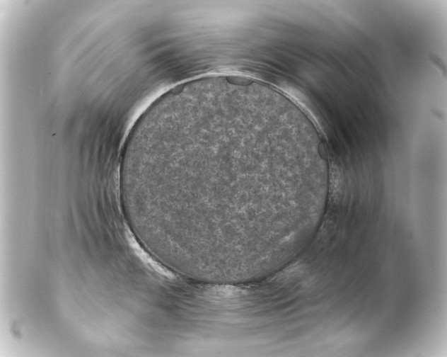 X0000101441100200807281017