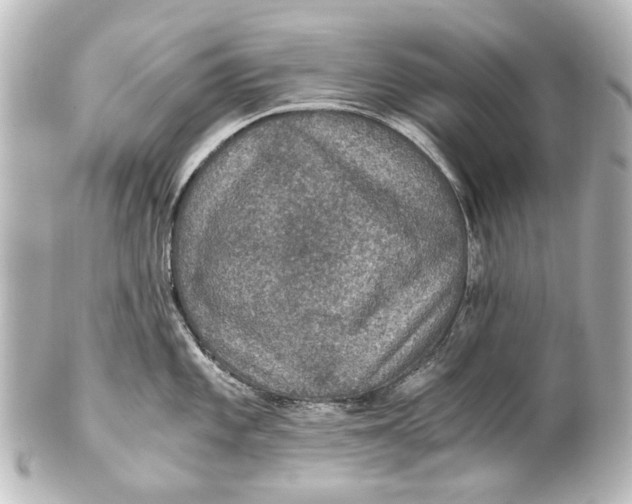 X0000101441101200807281017