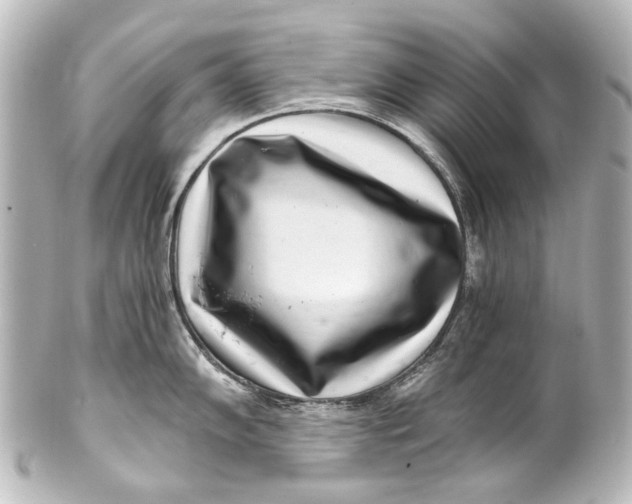 X0000101441102200807281017