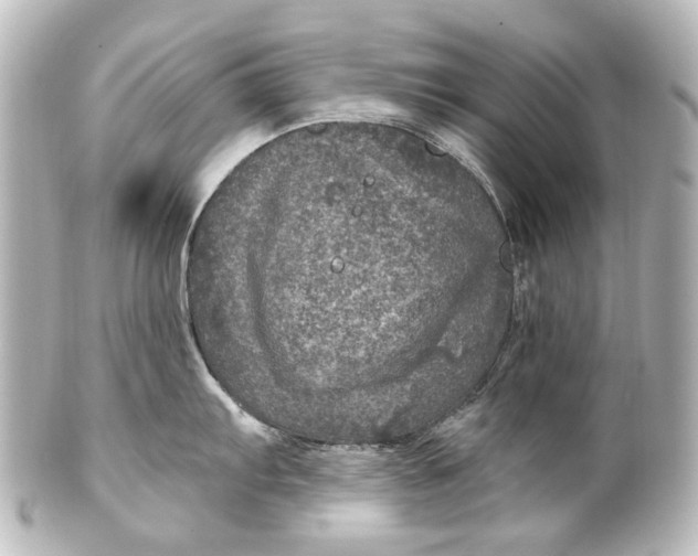 X0000101441103200807281017