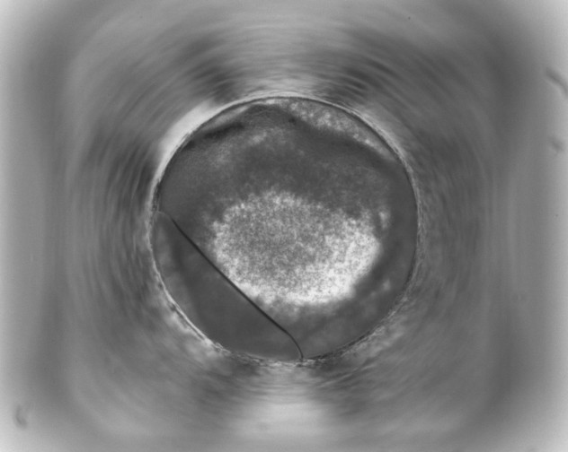 X0000101441104200807281017