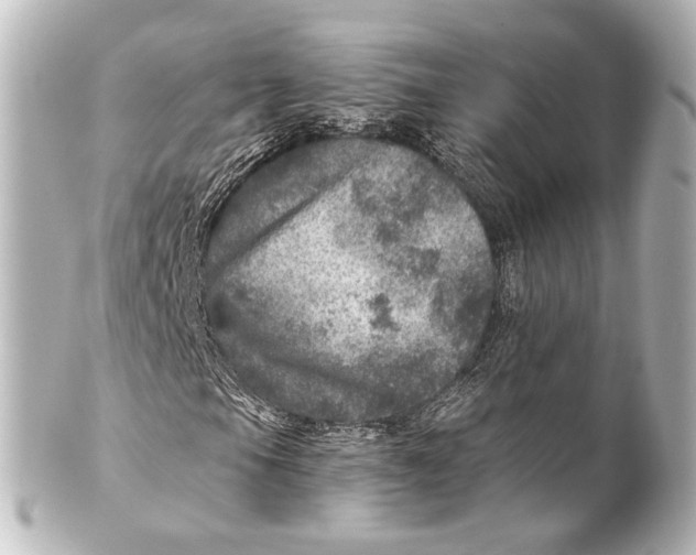 X0000101441105200807281016