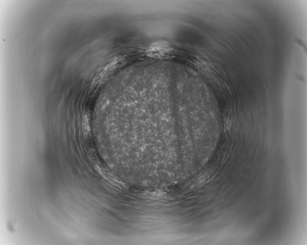 X0000101441106200807281016