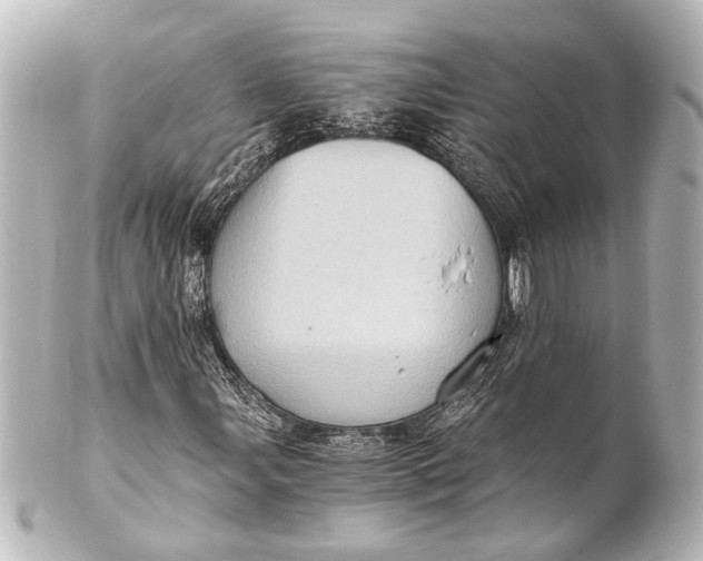 X0000101441107200807281016