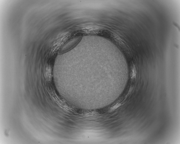 X0000101441108200807281016