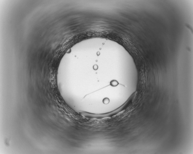 X0000101441109200807281016