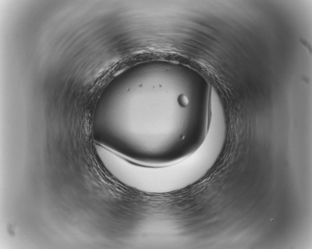 X0000101441110200807281016