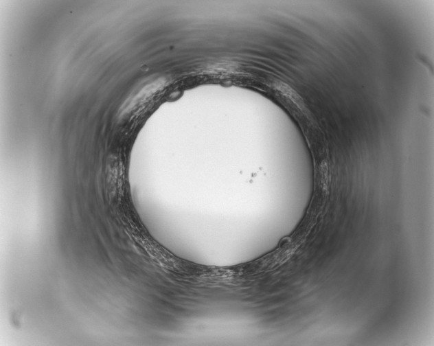 X0000101441111200807281016