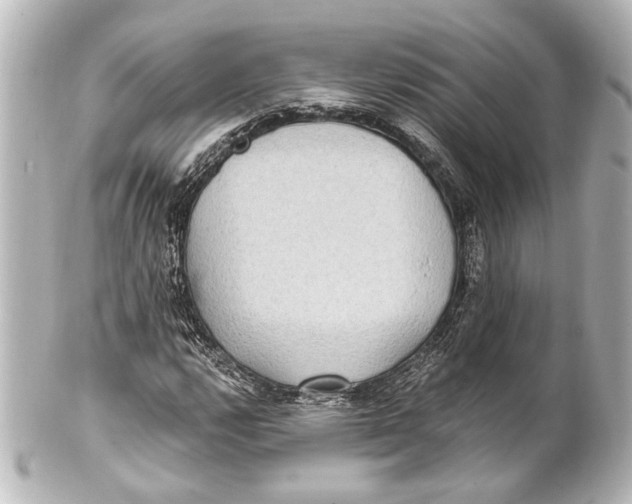 X0000101441112200807281016