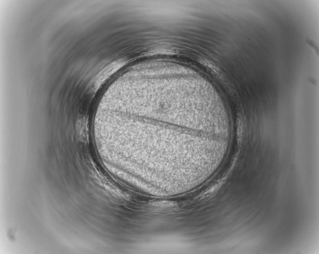 X0000101441113200807281016