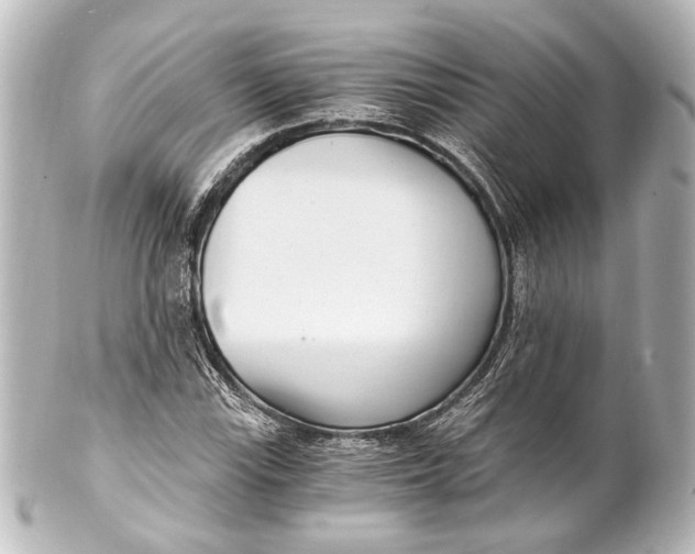 X0000101441115200807281016