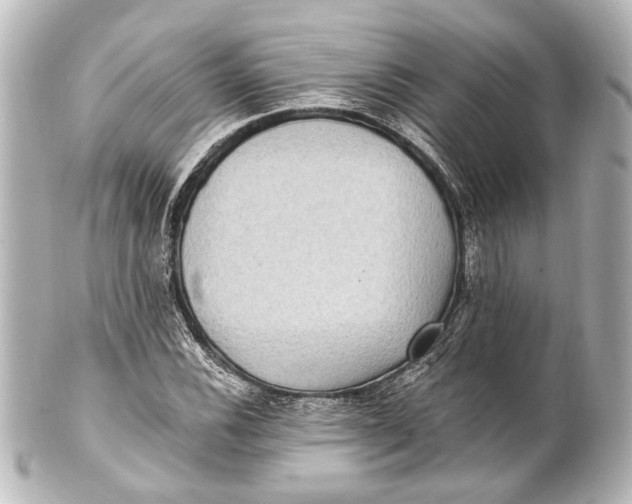 X0000101441116200807281016