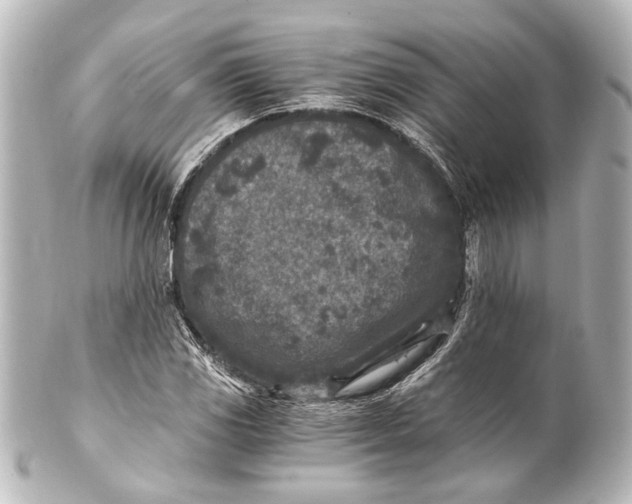 X0000101441117200807281016