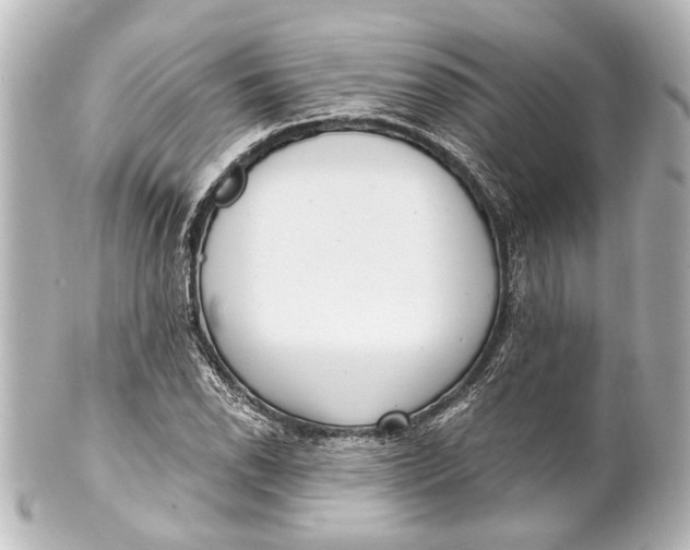 X0000101441118200807281016