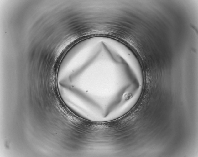 X0000101441119200807281016