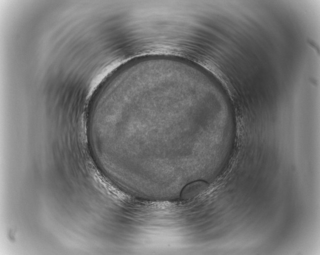 X0000101441120200807281016